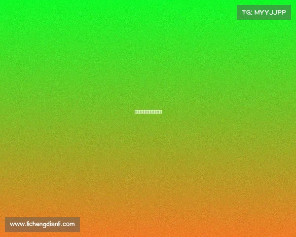 武林武林风最新一期比赛